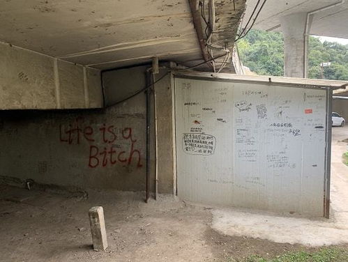 六年二班貴陽板房成“留言墻” 初戀記憶與辣眼睛內(nèi)容的碰撞