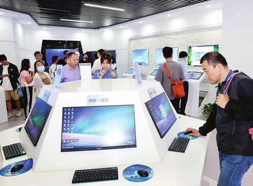 種好梧桐樹，引得鳳凰來 以軟件開發與信息技術咨詢服務為核心，打造總部經濟新高地