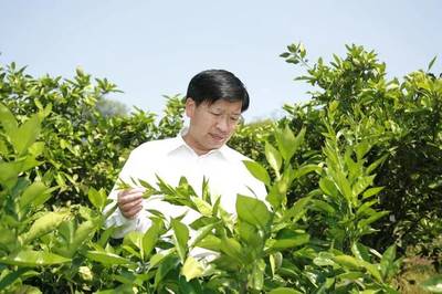 對(duì)話雙一流 華中農(nóng)業(yè)大學(xué)園藝學(xué)科，以科技賦能農(nóng)業(yè)園藝服務(wù)
