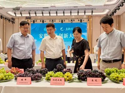 安徽?qǐng)@藝創(chuàng)新大會(huì)在合肥召開 推動(dòng)農(nóng)業(yè)園藝服務(wù)高質(zhì)量發(fā)展