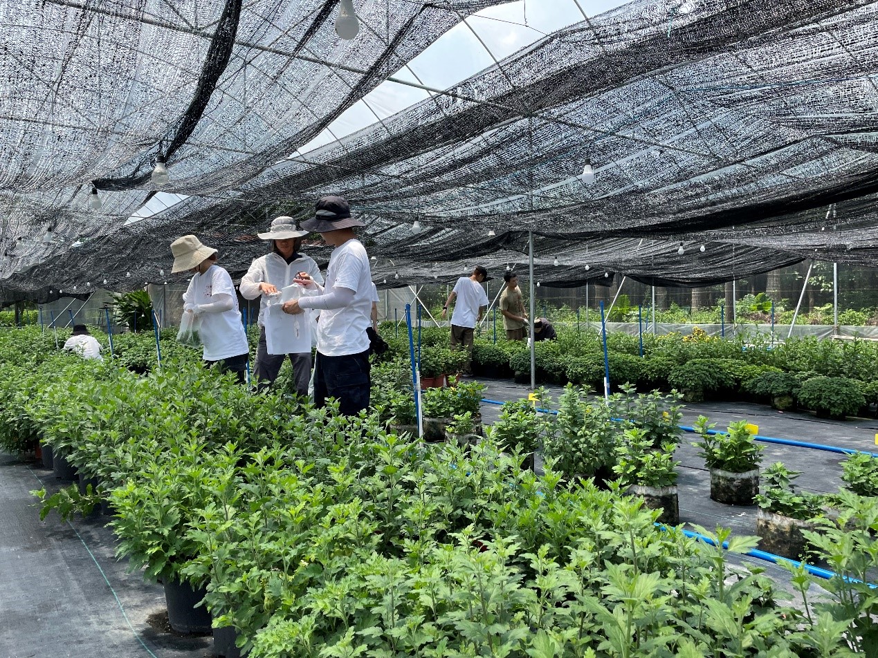 園藝園林學院21級學碩班 在春日田野中探求育種真知——記春季學期植物育種課程實踐活動