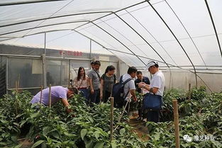 河南農業大學專家團到訪園區，共探現代農業園藝服務新篇章