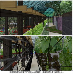 4736平方米方型生態(tài)餐廳及霧培蔬菜工廠設(shè)計(jì) 中國農(nóng)業(yè)硅谷引領(lǐng)農(nóng)業(yè)園藝服務(wù)新模式